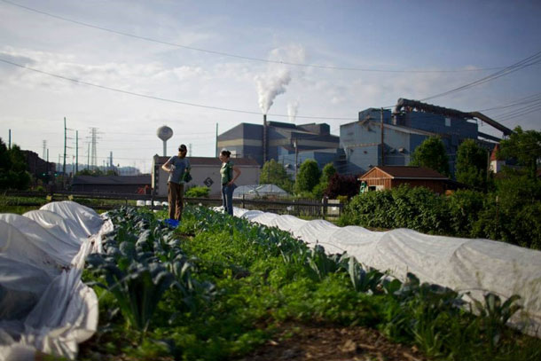 Grow Pittsburgh Braddock Farms
