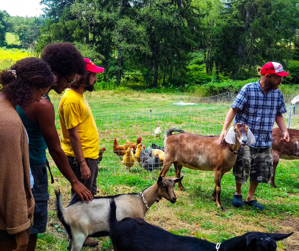 grow pittsburgh programs