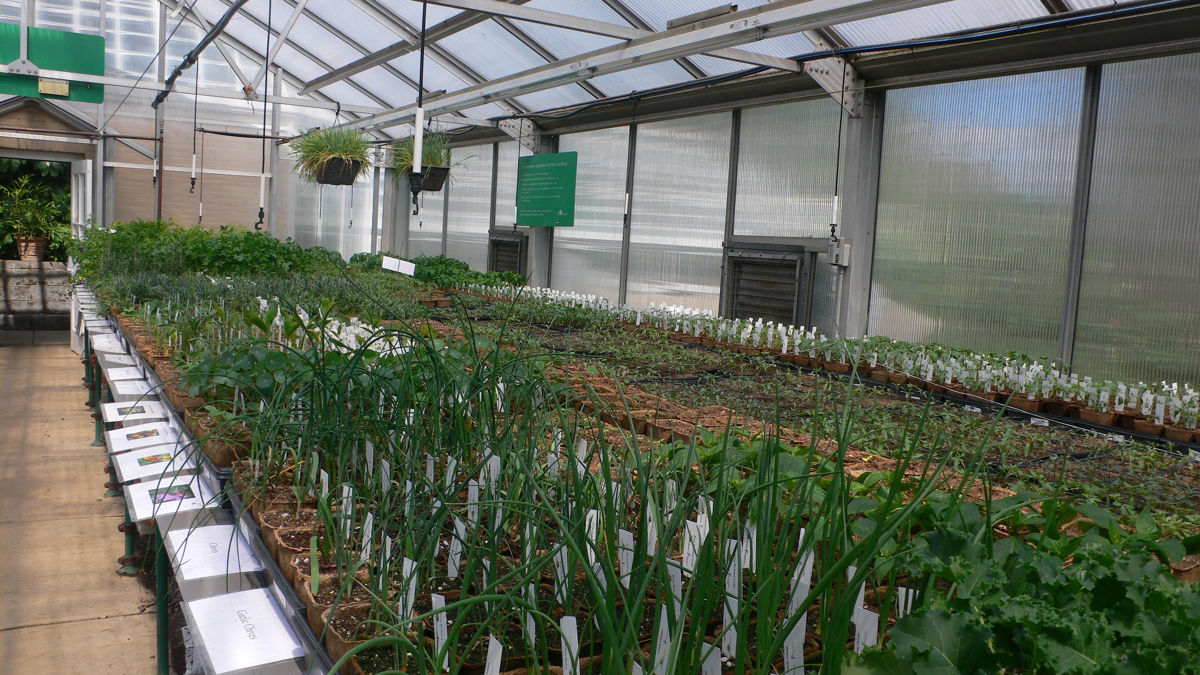 Frick Greenhouse and Garden Grow Pittsburgh