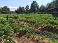 Crafton Community Farm.jpg