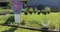 PIH Garden sign 2025.jpg