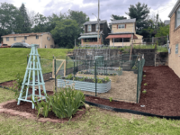 Payne Chapel AME Church Veggie Garden .png