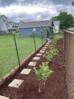 Payne Chapel AME Church Berry Patch.png