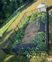 Far Garden Bed.jpeg