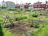 Lawrenceville Community Gardens.jpg