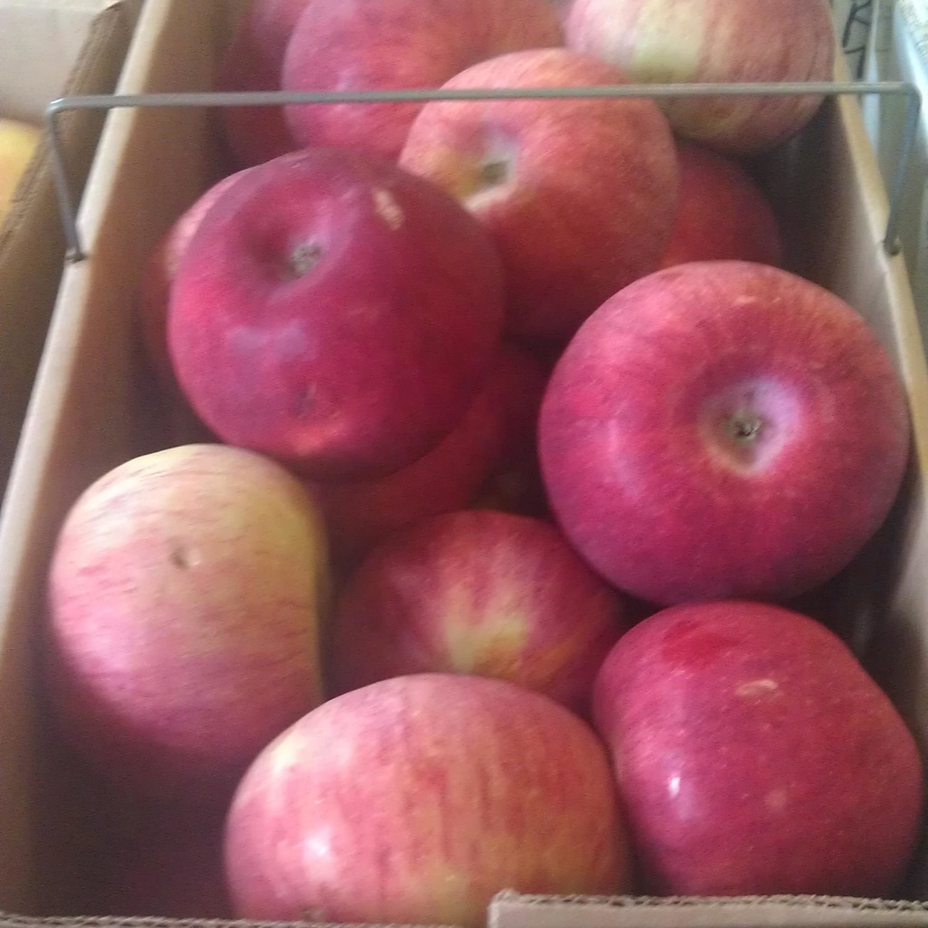 These Cortland apples are ideal for cooking and baking. You can find them at the Penn's Corner Farm Stand.