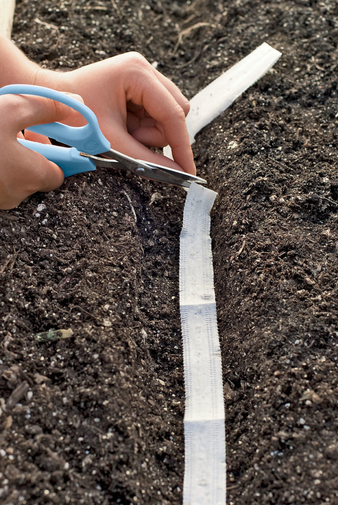 This seed tape is from Gardeners Supply. Another great supplier is Territorial Seeds. 