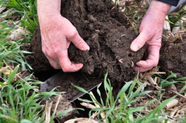 Free Soil Screening with ACCD