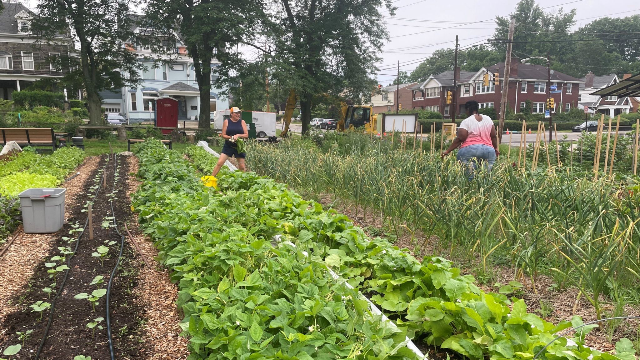 Shiloh Farm Grow Pittsburgh