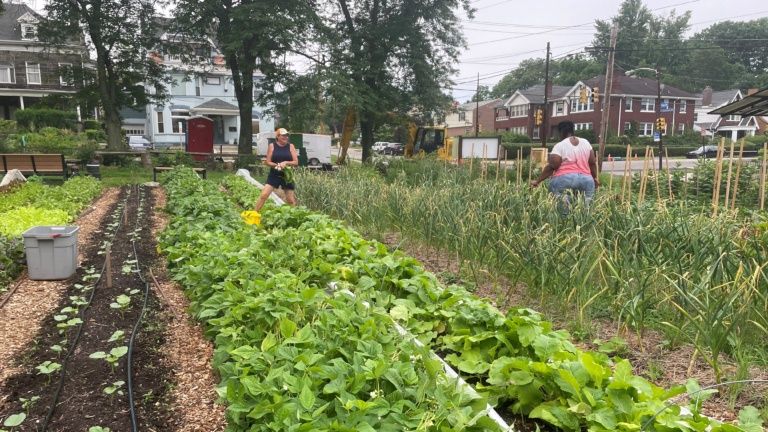 Shiloh Farm - Grow Pittsburgh
