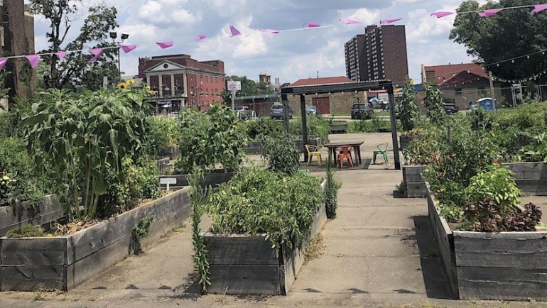 Accessibility for Community Gardens