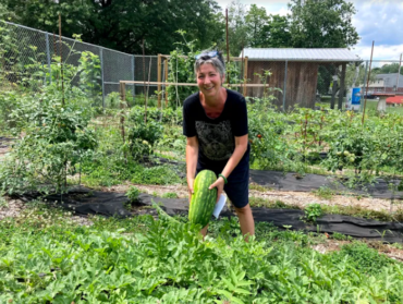 Checking in on community gardens in the summer of COVID-19