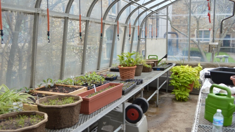 Container Gardening