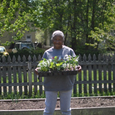 Grower’s Spotlight: Renee Wilson