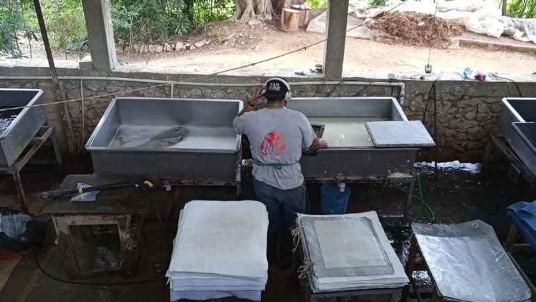 Making Handmade Paper from Garden Waste & Invasive Japanese Knotweed