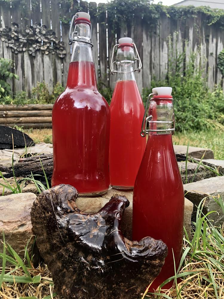 Elderberry Syrup Grow Pittsburgh