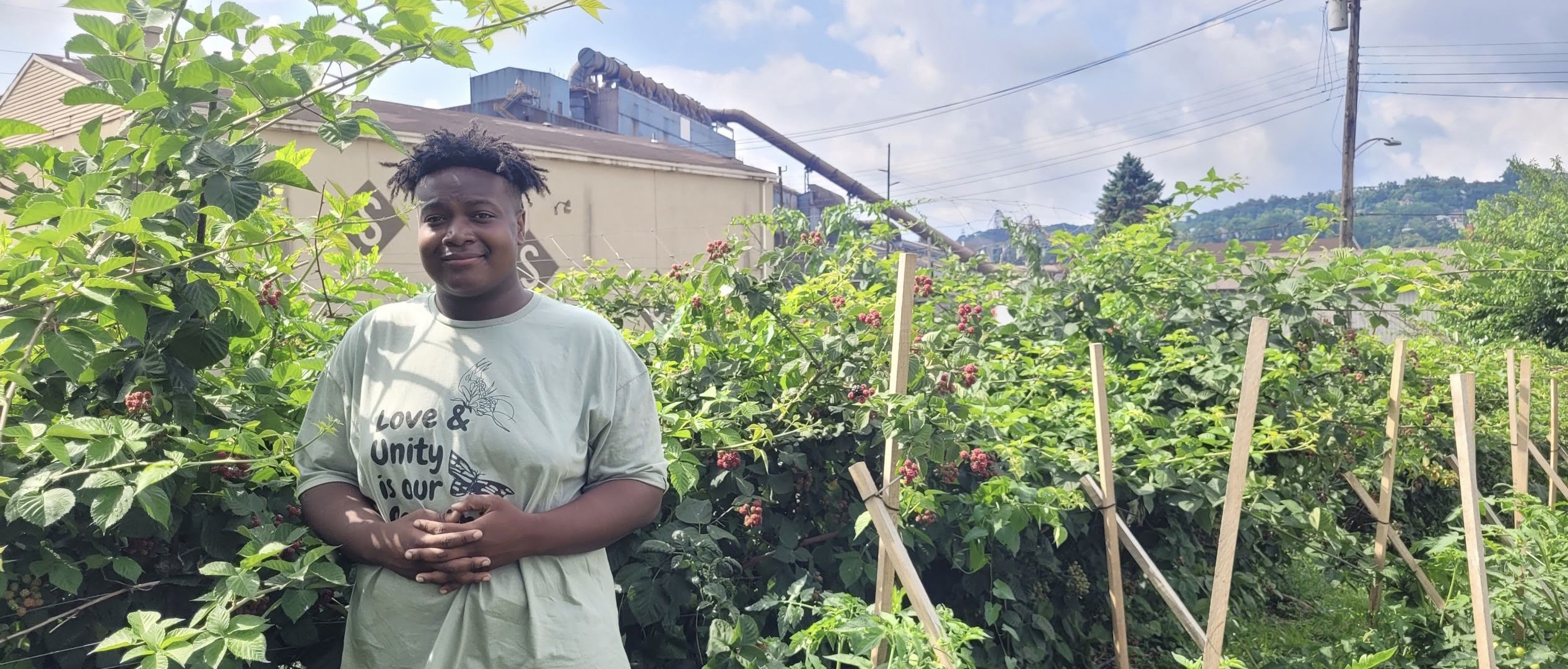Braddock Inclusion Project Meet Braddock Youth Project: Our Seeding the Future awardee - Grow ...