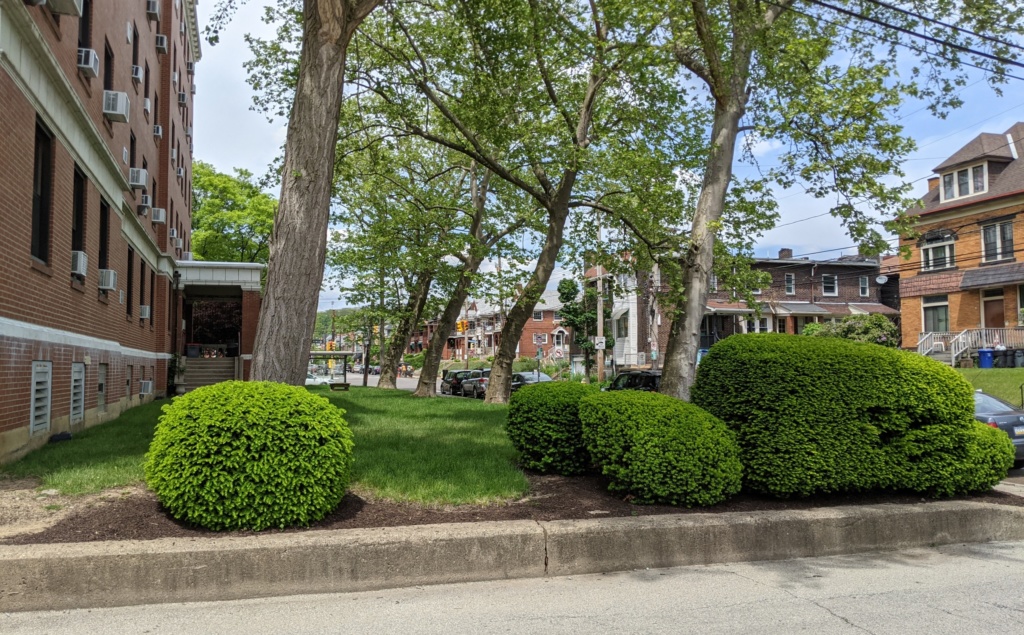 PXL_20210517_182924552 (1)