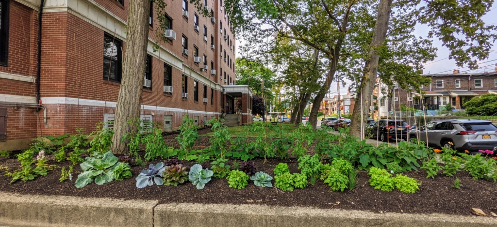 PXL_20210718_222714605