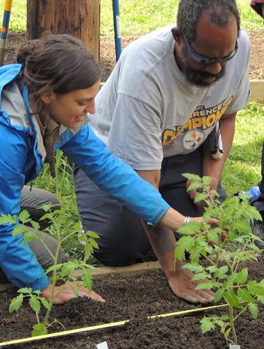 Above, Jess helps to guide the hands of Center Ave Y resident, Demetrius (who is visually impaired), to plant tomato seedlings. Once he got the layout of the garden and the hang of things, he was planting faster than Jess! 