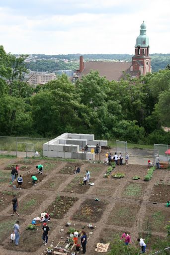 South Side Comm. Garden Arial View