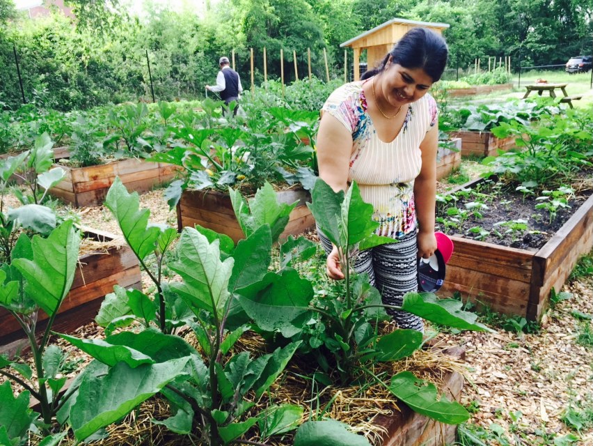 Community gardening in Whitehall