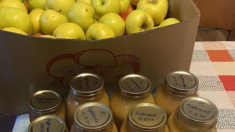 Applesauce Workshop (hot water bath canning)