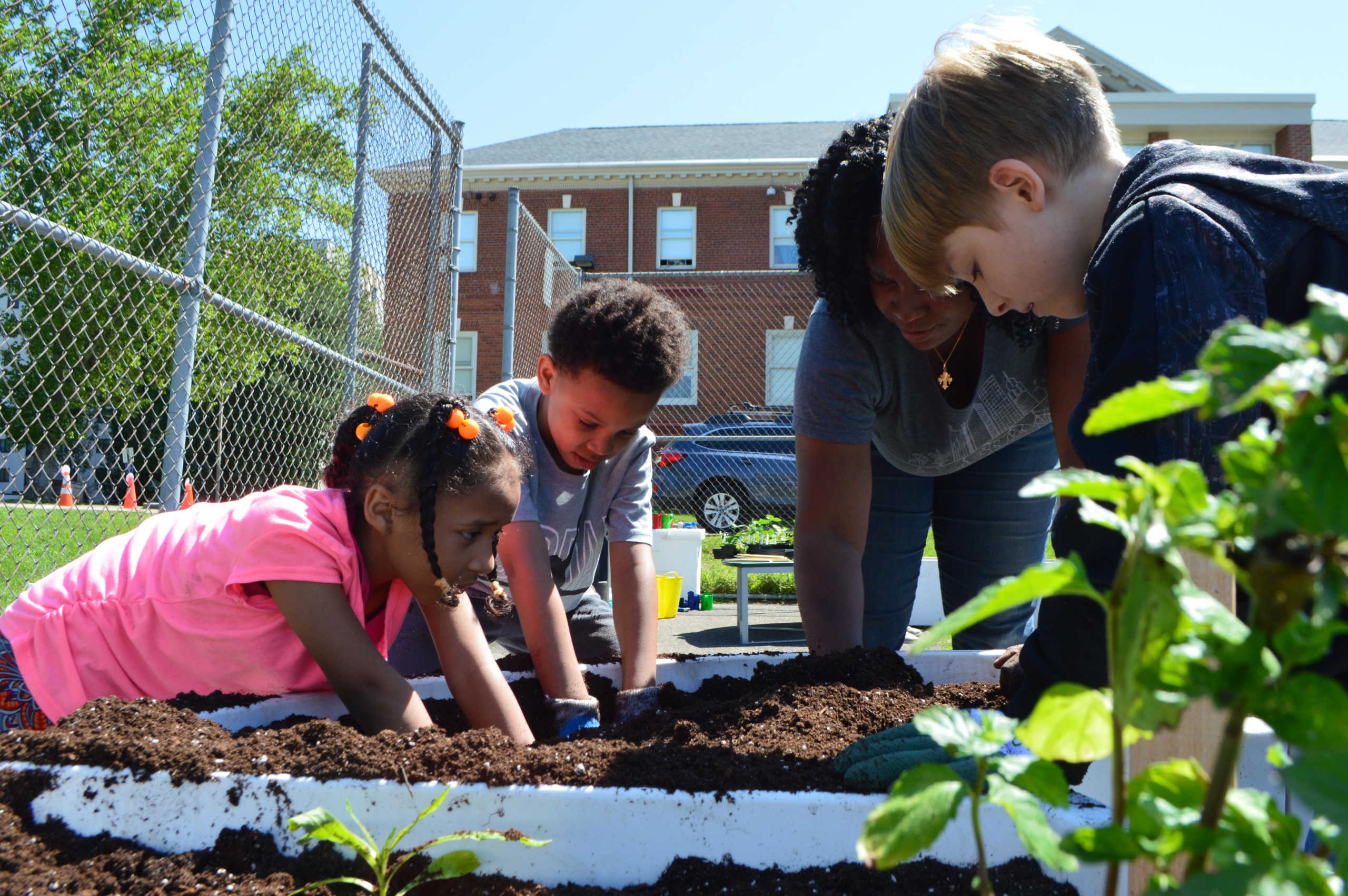 Adia and the kids, school gardens