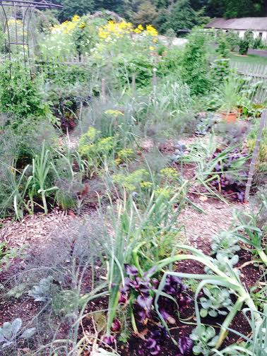 This garden is highly diverse, with herbs, vegetables, and flowers interspersed.