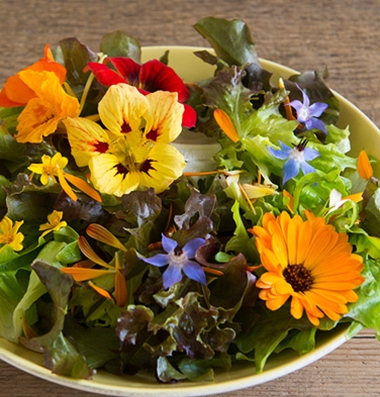 Edible Flower Collection from Johnny's Selected Seeds.