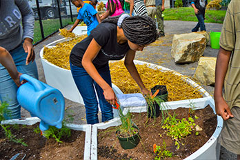 Grow Pittsburgh In the News Grow Pittsburgh In the News