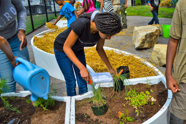Grow Pittsburgh School Garden Program