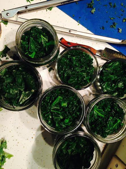 Jars filled with kale - about 1/2" left at the top of the jar, as the kale will expand when frozen. 