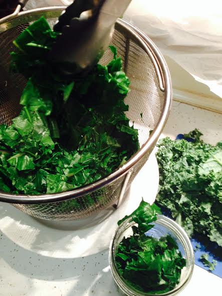 Filling clean, freezer-safe canning jars with blanched and cooled kale.