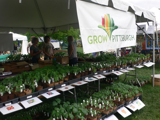 Seedlings for sale at the Phipps May Market event.