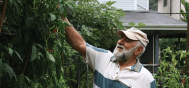 Mariano’s Calabrian Chile