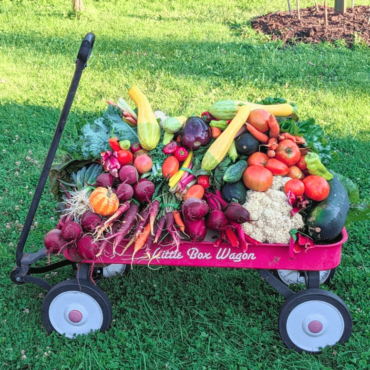 Meet the Penn Hills Community Garden: Our Resilient Community Growers