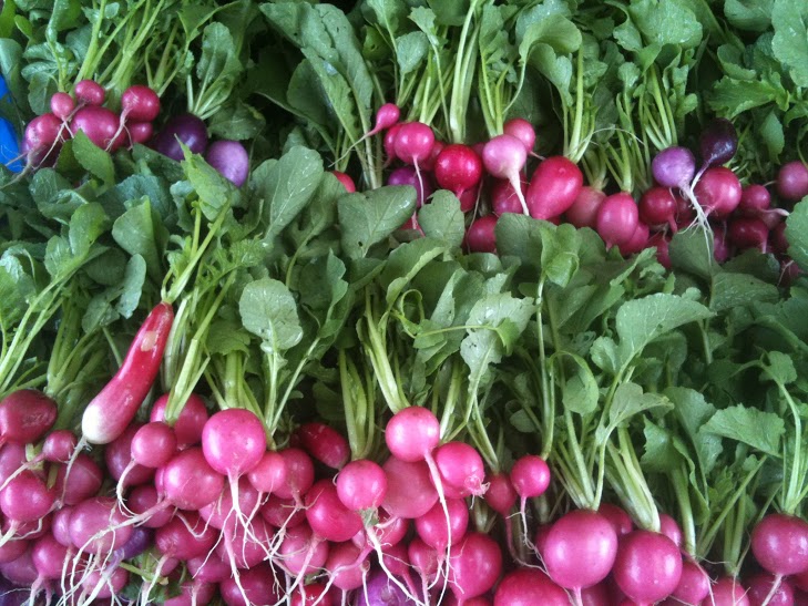 Piles of radishes at Braddock Farms.