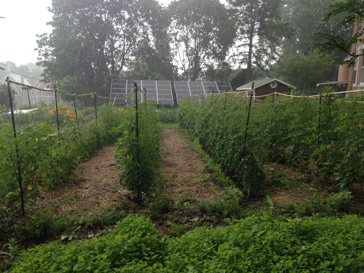 shiloh farms frick greenhouse
