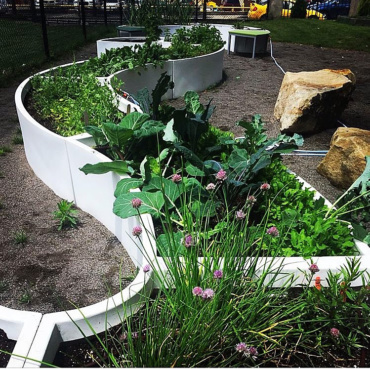 School Gardens Growing in Pittsburgh