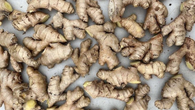 Ginger and Tumeric School
