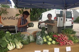 urban farms