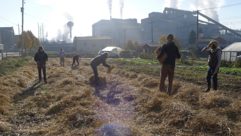 Volunteer Day at Braddock Farms