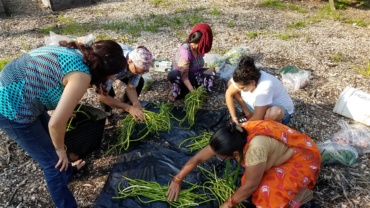 Apply now! Community Garden Sustainability Fund applications are open